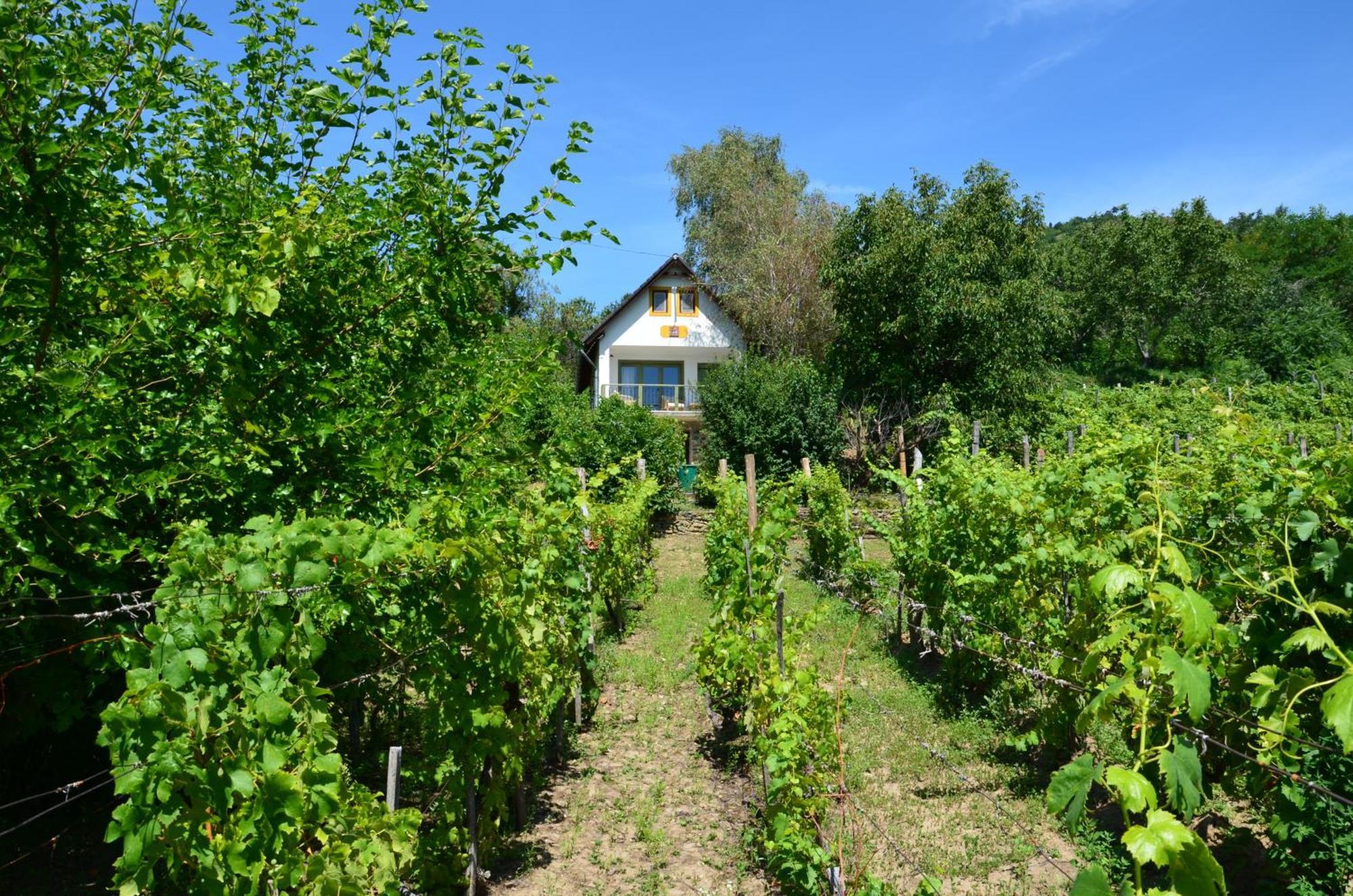 Grand Cru 3. Vendégház Hegymagas Exterior foto
